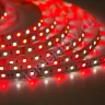 Светодиодная лента Class Premium 3838 72 led/m, RGB+CCT (RGB+white/ warm white), 12V, IP20, А41 - фото 9.