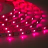Светодиодная лента Class Premium 3838 72 led/m, RGB+CCT (RGB+white/ warm white), 12V, IP20, А41 - фото I