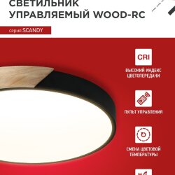 Светильник светодиодный SCANDY WOOD-75RCB 75Вт 230В 3000-6500K 6000Лм 400x50мм с пультом ДУ черный IN HOME
