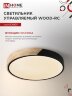Светильник светодиодный SCANDY WOOD-75RCB 75Вт 230В 3000-6500K 6000Лм 400x50мм с пультом ДУ черный IN HOME - Фото 7