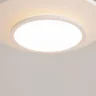 Потолочный светильник Incognito 2700-4000K 44Вт (Белый) - фото 13