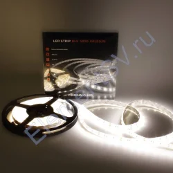 Светодиодная лента Class Premium, 5050, 60 led/m, Day White, 12V, IP65, А19