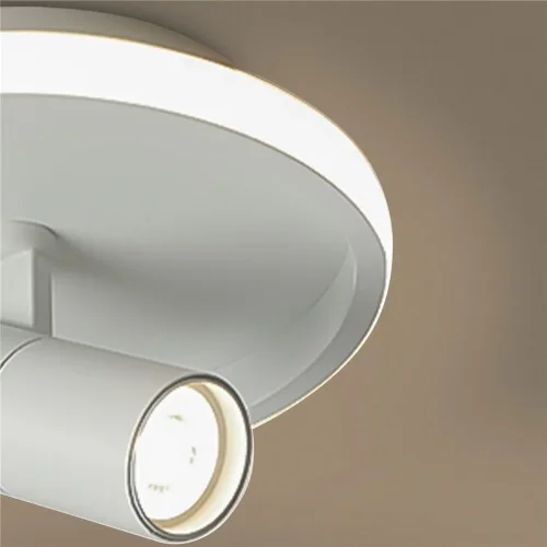 Потолочный светильник FR6040CL-L14W Нео / Neo 13 Вт LED (Белый) FR6040CL-L14W - фото 11