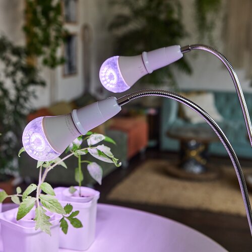 LED-A60-10W-SPFR-E27-CL PLP01WH Лампа светодиодная для растений, Форма A, прозрачная колба - фото 5