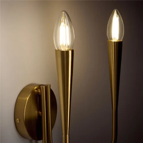 Настенный светильник (бра) Freya FR5253WL-02BS (Латунь) - фото 7