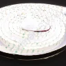Светодиодная лента Standart PRO class, 5050, 120 led/m, Day White, 24V, IP65 - фото 2.