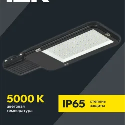 Светильник светодиодный ДКУ 1013-100Д 5000К IP65 уличный консольный IEK LDKU1-1013-100-5000-K03