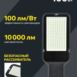 Светильник светодиодный ДКУ 1013-100Д 5000К IP65 уличный консольный IEK LDKU1-1013-100-5000-K03