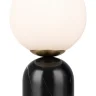 Настольный светильник Ископаемое / Fossil (Черный) FR5288TL-01B1 - фото 6