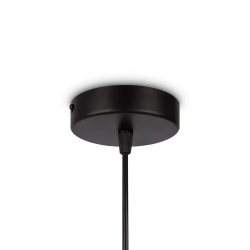 Подвесной светильник Freya FR5243PL-01BR8 (Черный) - фото 10