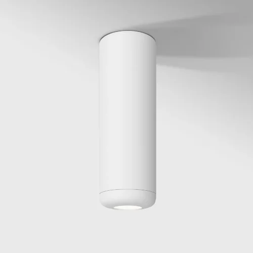 Светильник потолочный светодиодный 10W 4000K белый 25045/LED - фото