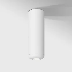 Светильник потолочный светодиодный 10W 4000K белый 25045/LED (064197)