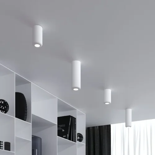 Светильник потолочный светодиодный 10W 4000K белый 25045/LED - фото 4
