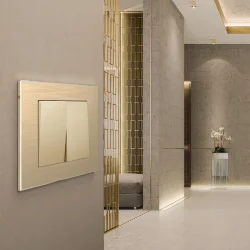 Рамка из металла на 1 пост Аluminium шампань алюминий W0011711