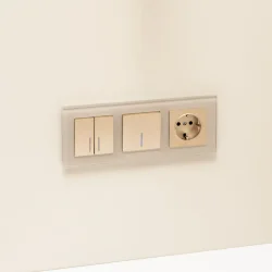 Выключатель одноклавишный с подсветкой (шампань рифленый) W1110110