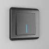 Выключатель одноклавишный с подсветкой (графит рифленый) W1110104 - фото 2