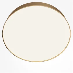 Потолочный светильник Zon 4000K 45W 120° (Матовое Золото)