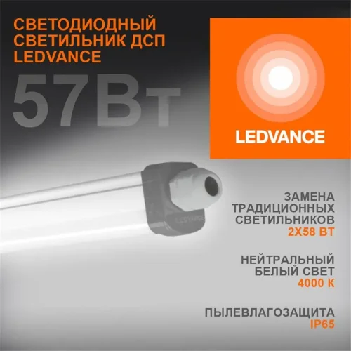 Светильник светодиодный Eco Class Damp Proof Slim 57Вт 4000К IP65 6000лм 1.5м ДСП промышленный накладной/подвесной сер. (аналог ЛСП) LEDVANCE 4058075169142 - фото