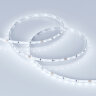 Светодиодная лента MICROLED-5000 24V Cool 8K 4mm (2216, 120 LED/m, LUX) (Arlight, 9.6 Вт/м, IP20) - фото 3