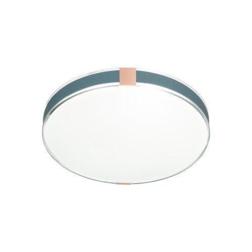 Настенно-потолочный светильник «Sonex» 7677/EL, серия: OTIGA BLUE (накладной). Фото 2.