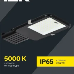 Светильник светодиодный ДКУ 1013-50Д 5000К IP65 уличный консольный IEK LDKU1-1013-050-5000-K03
