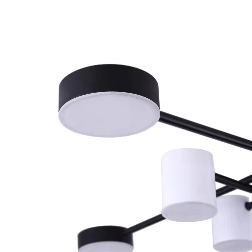 Потолочный светильник FR6048CL-L8B Тибо / Tibo 40 Вт LED (Черный) FR6048CL-L8B - фото 5