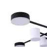 Потолочный светильник FR6048CL-L8B Тибо / Tibo 40 Вт LED (Черный) FR6048CL-L8B - фото 5