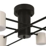 Потолочный светильник FR6048CL-L8B Тибо / Tibo 40 Вт LED (Черный) FR6048CL-L8B - фото 13
