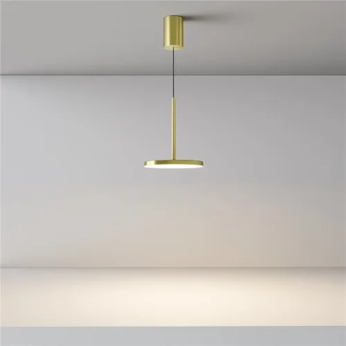 Подвесной светильник Plato 3000К 12Вт 120° (Латунь) - фото 17