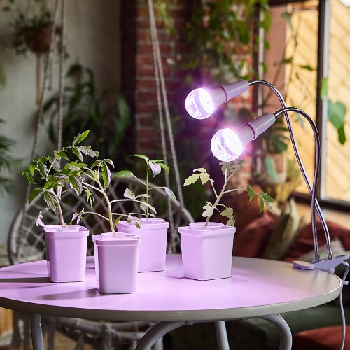 TLI-281 WHITE E27x2 PLANT Светильник настольный для 2-х фитоламп, На прищепке, Цоколь E27, Белый, ТМ ФитоЛето - фото 8