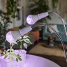 TLI-281 WHITE E27x2 PLANT Светильник настольный для 2-х фитоламп, На прищепке, Цоколь E27, Белый, ТМ ФитоЛето - фото 9