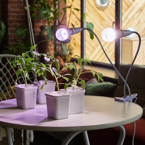 TLI-281 WHITE E27x2 PLANT Светильник настольный для 2-х фитоламп, На прищепке, Цоколь E27, Белый, ТМ ФитоЛето - фото 10