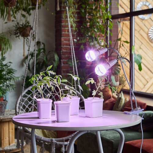 TLI-281 WHITE E27x2 PLANT Светильник настольный для 2-х фитоламп, На прищепке, Цоколь E27, Белый, ТМ ФитоЛето - фото 7