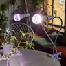 TLI-281 WHITE E27x2 PLANT Светильник настольный для 2-х фитоламп, На прищепке, Цоколь E27, Белый, ТМ ФитоЛето - фото 11