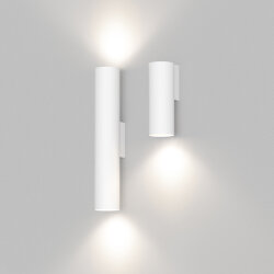 Настенный светильник, IP20, до 15 Вт, LED, GU10, белый, алюминий, Denkirs DK5021-WH