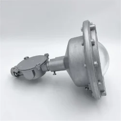 Светильник светодиодный взрывозащ. ДСП 02-30-001 (ВЗГ) 1ExdIIBT6Gb 30Вт IP65 3000лм УХЛ1 индивид. подкл. на трубу 3/4дюйм Свет Витебск 0204-0073