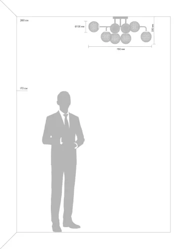 Люстра Freya FR8016PL-08BBS (Черный) - фото 3
