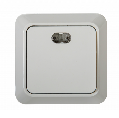 Выключатель одноклавишный с подсветкой BOLLETO белый накладной 7121 IN HOME - Фото