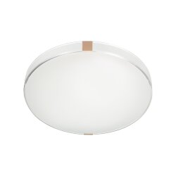 Настенно-потолочный светильник «Sonex» 7676/DL, серия: OTIGA WHITE (накладной) - заменяемый LED модуль