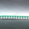 Светодиодная лента Standart PRO class, 5050, 144 led/m, RGBW, 24V, IP20 - фото 3.
