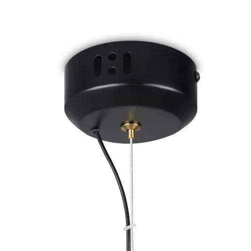 Подвесной светильник Freya FR5384PL-L13GN (Черный) - фото 6