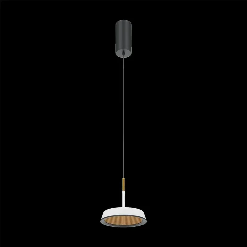 Подвесной светильник El 3000К 12Вт (Черный) - фото 14