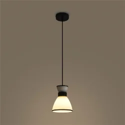 Подвесной светильник FR5503PL-01B1 Топи / Topi E27x1 (Черный) FR5503PL-01B1