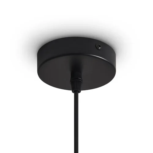 Подвесной светильник FR5503PL-01B1 Топи / Topi E27x1 (Черный) FR5503PL-01B1 - фото 7