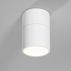 Светильник потолочный поворотный светодиодный Rolly 9W 4000K белый 25112/LED (067487)