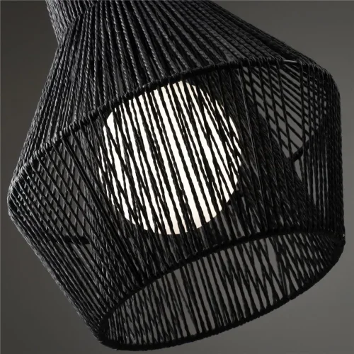 Подвесной светильник Freya FR5405PL-01B (Черный) - фото 4