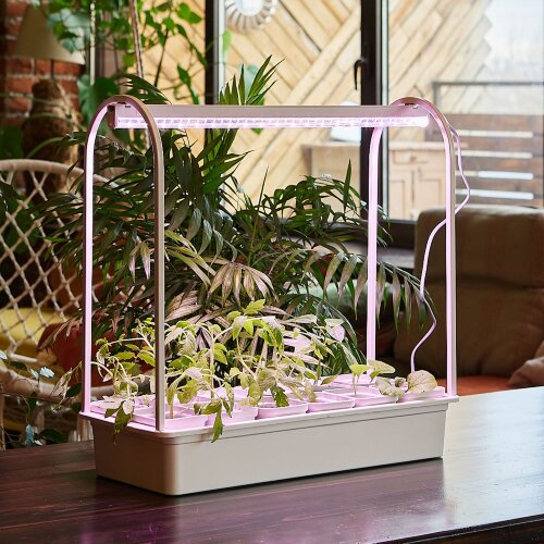 ULT-P34-10W-SPLE IP40 WHITE 12 Набор Минисад, светильник для растений светодиодный с подставкой, Спектр для фотосинтеза, 12 кашпо в-к, белые, TM Uniel - фото 6