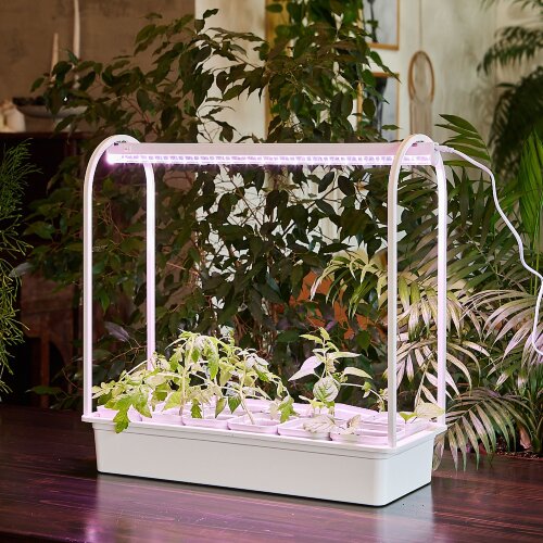 ULT-P34-10W-SPLE IP40 WHITE 12 Набор Минисад, светильник для растений светодиодный с подставкой, Спектр для фотосинтеза, 12 кашпо в-к, белые, TM Uniel - фото 5