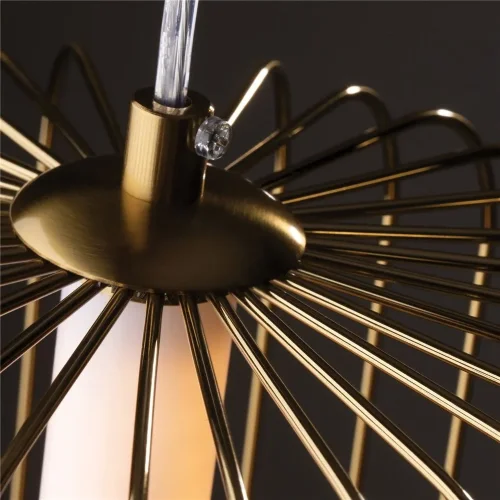 Подвесной светильник Freya FR6131PL-L13BS (Латунь) - фото 2