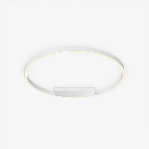 Потолочный светильник Rim 3000-4000К 48Вт (Белый) - фото 3